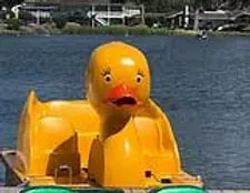 duck boat